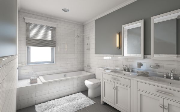 Cost of Restroom Remodeling in Leander