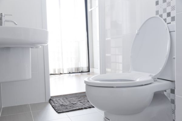 Cost of Toilet Relocation in Leander