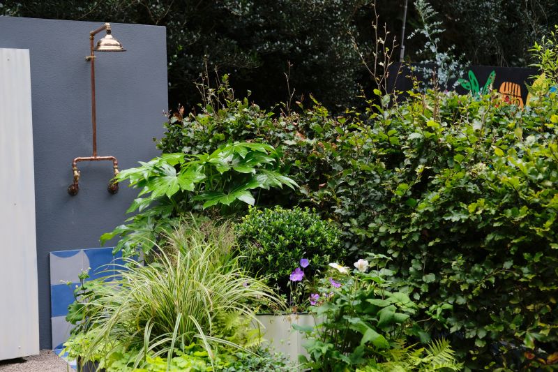 Top Shower Remodeling Companies in Cedar Park, TX