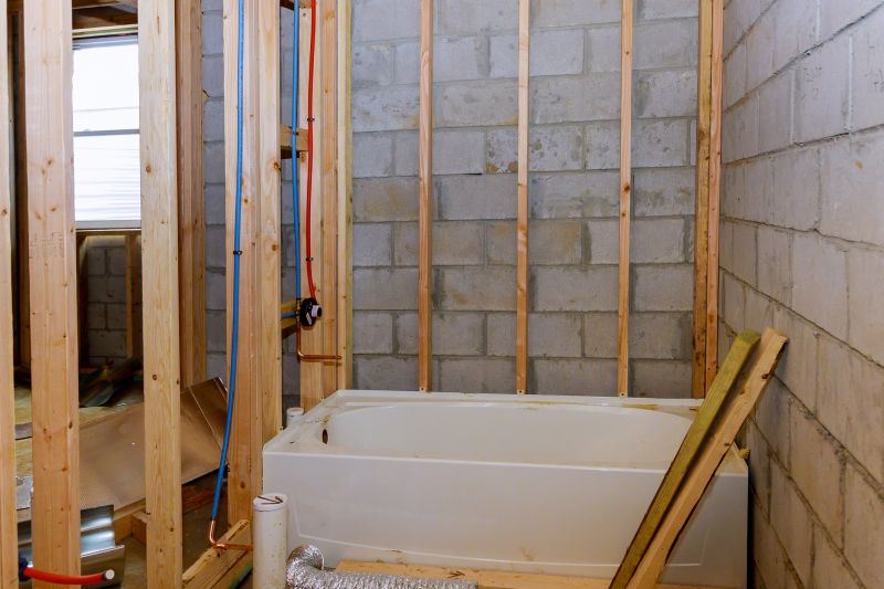 Top Tub To Shower Conversion Companies in Austin, TX
